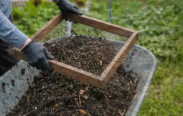 Behandschuhte Hände sieben reifen Kompost über einer Gartenschubkarre; Thema Gurken, Schwerpunkt Balkongarten; Ausgangslage.