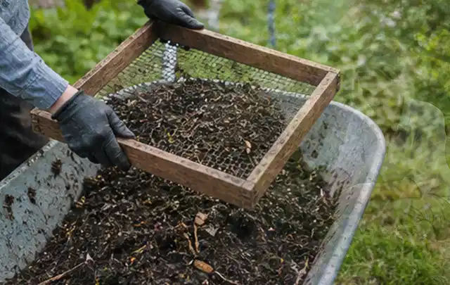 Behandschuhte Hände sieben reifen Kompost über einer Gartenschubkarre; Thema Gurken, Schwerpunkt Einsteigerwissen; Ausgangslage.