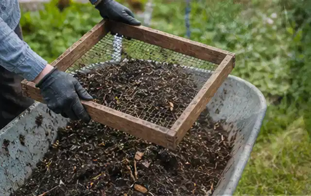 Behandschuhte Hände sieben reifen Kompost über einer Gartenschubkarre; Thema Gurken, Schwerpunkt Ernteprobleme; Praxisalltag.