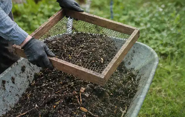 Behandschuhte Hände sieben reifen Kompost über einer Gartenschubkarre; Thema Gurken, Schwerpunkt Fehlerhilfe; Umsetzung.