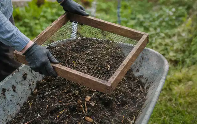 Behandschuhte Hände sieben reifen Kompost über einer Gartenschubkarre; Thema Gurken, Schwerpunkt Lagerung; Ergebnis.