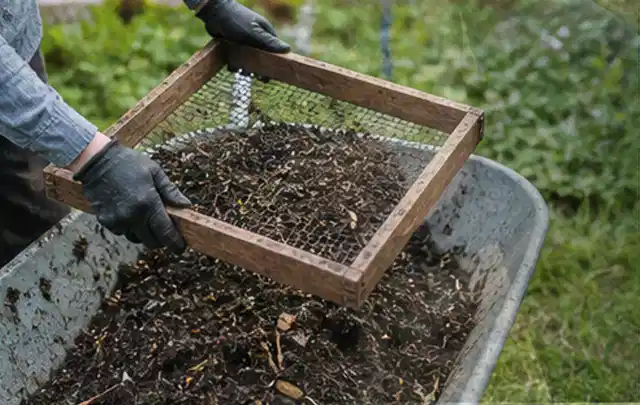 Behandschuhte Hände sieben reifen Kompost über einer Gartenschubkarre; Thema Gurken, Schwerpunkt Pflanzenschutz; Praxisalltag.