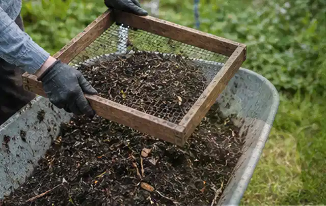 Behandschuhte Hände sieben reifen Kompost über einer Gartenschubkarre; Thema Gurken, Schwerpunkt Saisonkalender; Umsetzung.