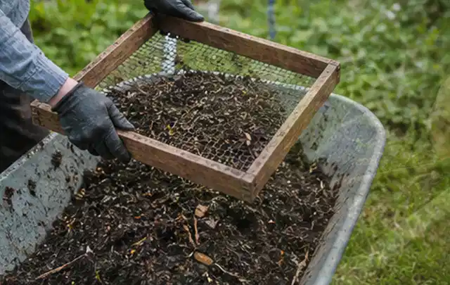 Behandschuhte Hände sieben reifen Kompost über einer Gartenschubkarre; Thema Gurken, Schwerpunkt Schnitt; Kontrolle.