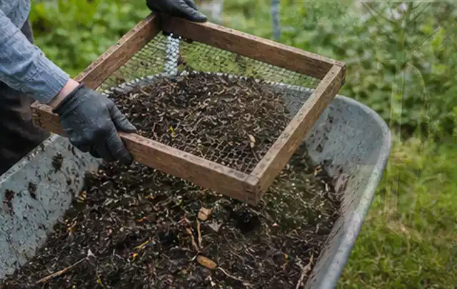 Behandschuhte Hände sieben reifen Kompost über einer Gartenschubkarre; Thema Gurken, Schwerpunkt Standort; Ergebnis.