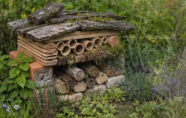 Naturnaher Unterschlupf aus Holz Rinde und Pflanzenstängeln im Garten; Thema Hanggarten, Schwerpunkt Anleitung; Praxisalltag.