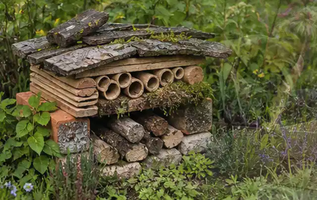Naturnaher Unterschlupf aus Holz Rinde und Pflanzenstängeln im Garten; Thema Hanggarten, Schwerpunkt Garten gestalten; Umsetzung.