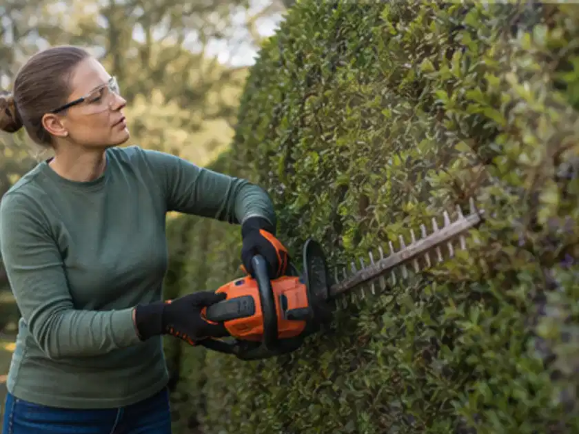 Person schneidet eine dichte Gartenhecke mit Schutzbrille und sicherem Stand; Thema Heckenpflanzen, Schwerpunkt Fehlerhilfe; Titelbild.