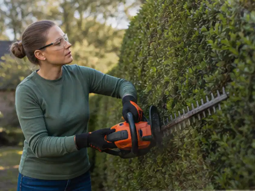 Person schneidet eine dichte Gartenhecke mit Schutzbrille und sicherem Stand; Thema Heckenpflanzen, Schwerpunkt Gartenpraxis; Titelbild.