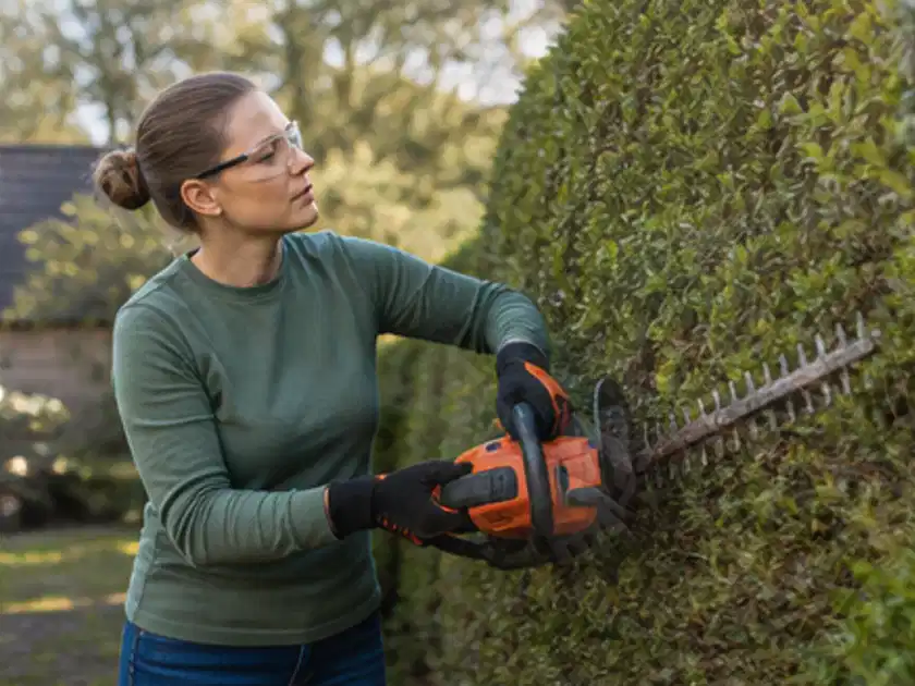 Person schneidet eine dichte Gartenhecke mit Schutzbrille und sicherem Stand; Thema Heckenpflanzen, Schwerpunkt Rückschnitt; Titelbild.