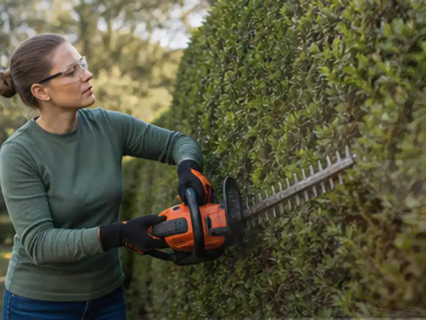 Person schneidet eine dichte Gartenhecke mit Schutzbrille und sicherem Stand; Thema Heckenpflanzen, Schwerpunkt Standort; Titelbild.