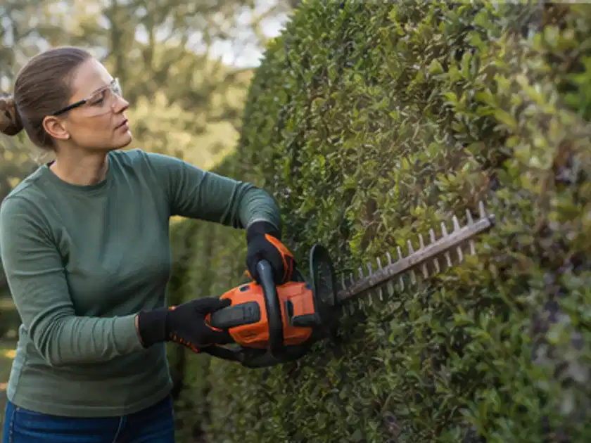 Person schneidet eine dichte Gartenhecke mit Schutzbrille und sicherem Stand; Thema Heckenpflanzen, Schwerpunkt Topfkultur; Titelbild.
