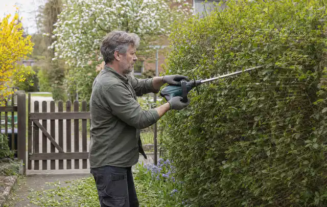 Person schneidet eine Gartenhecke mit einem motorisierten Gartengerät; Thema Heckenscheren, Schwerpunkt Bestenliste; Ergebnis.