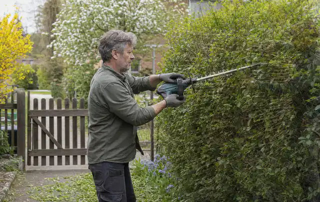 Person schneidet eine Gartenhecke mit einem motorisierten Gartengerät; Thema Heckenscheren, Schwerpunkt Checkliste; Kontrolle.