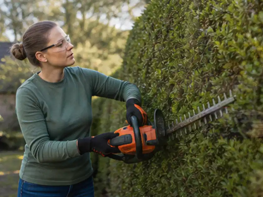 Person schneidet eine dichte Gartenhecke mit Schutzbrille und sicherem Stand; Thema Heckenscheren, Schwerpunkt Dimensionierung; Titelbild.