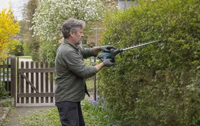 Person schneidet eine Gartenhecke mit einem motorisierten Gartengerät; Thema Heckenscheren, Schwerpunkt Dimensionierung; Kontrolle.