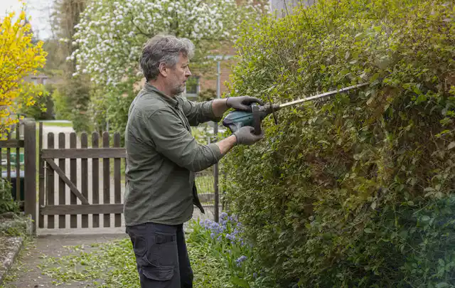 Person schneidet eine Gartenhecke mit einem motorisierten Gartengerät; Thema Heckenscheren, Schwerpunkt Ersatzteile; Ausgangslage.