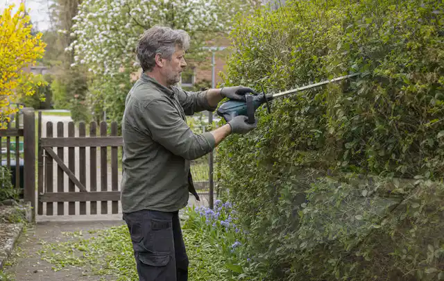 Person schneidet eine Gartenhecke mit einem motorisierten Gartengerät; Thema Heckenscheren, Schwerpunkt Fehlerhilfe; Ergebnis.