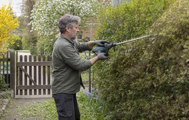 Person schneidet eine Gartenhecke mit einem motorisierten Gartengerät; Thema Heckenscheren, Schwerpunkt Gärten mit großer Fläche; Kontrolle.