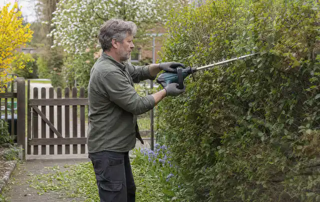 Person schneidet eine Gartenhecke mit einem motorisierten Gartengerät; Thema Heckenscheren, Schwerpunkt Kaufberatung; Ergebnis.
