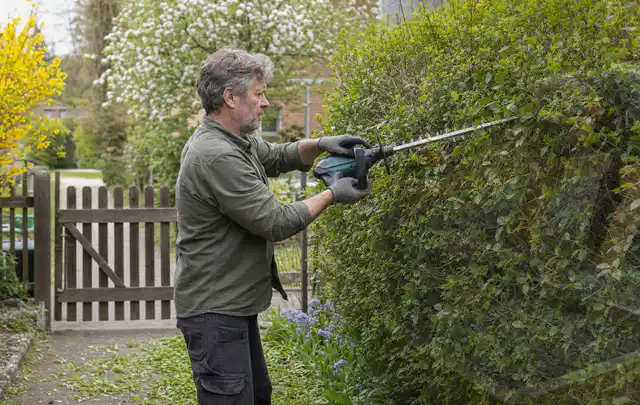 Person schneidet eine Gartenhecke mit einem motorisierten Gartengerät; Thema Heckenscheren, Schwerpunkt Kosten; Umsetzung.