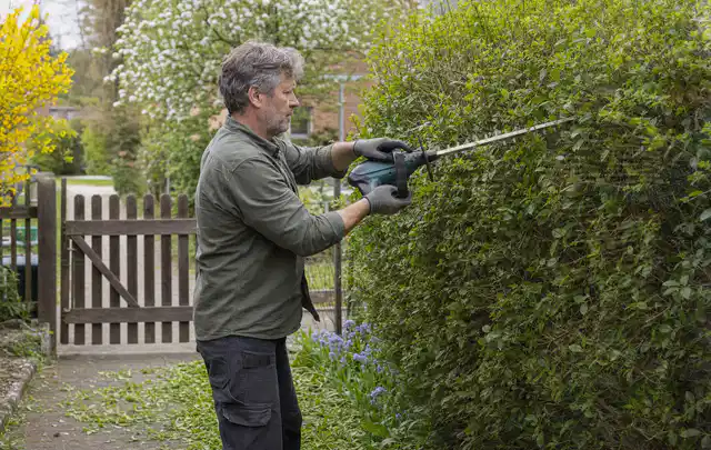 Person schneidet eine Gartenhecke mit einem motorisierten Gartengerät; Thema Heckenscheren, Schwerpunkt Leistung; Ergebnis.