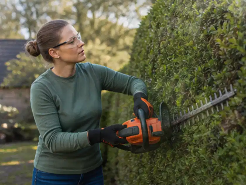 Person schneidet eine dichte Gartenhecke mit Schutzbrille und sicherem Stand; Thema Heckenscheren, Schwerpunkt Nachhaltigkeit; Titelbild.