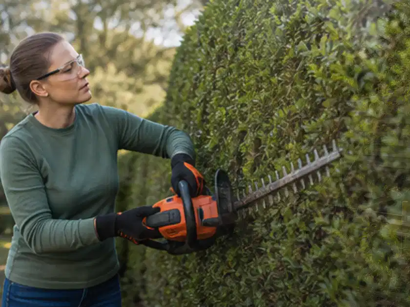 Person schneidet eine dichte Gartenhecke mit Schutzbrille und sicherem Stand; Thema Heckenscheren, Schwerpunkt Reparatur; Titelbild.