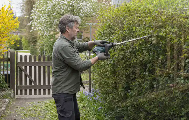 Person schneidet eine Gartenhecke mit einem motorisierten Gartengerät; Thema Heckenscheren, Schwerpunkt Reparatur; Ausgangslage.