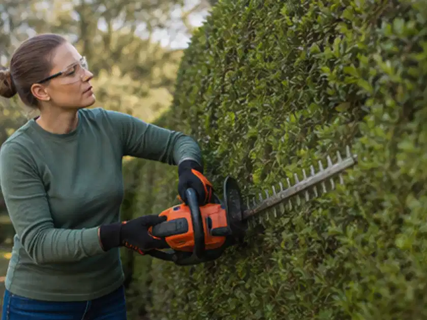 Person schneidet eine dichte Gartenhecke mit Schutzbrille und sicherem Stand; Thema Heckenscheren, Schwerpunkt Sicherheit; Titelbild.