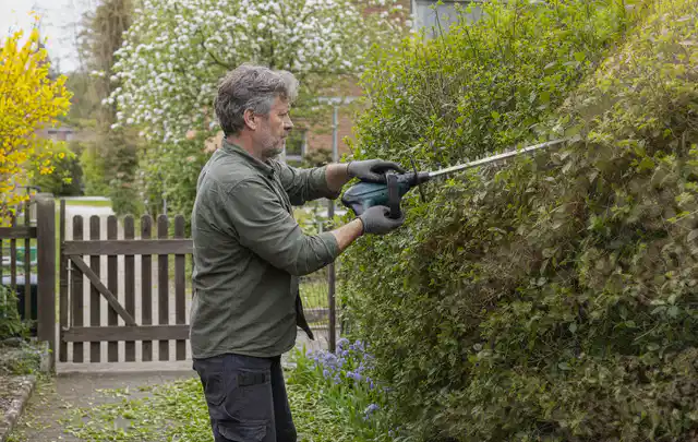 Person schneidet eine Gartenhecke mit einem motorisierten Gartengerät; Thema Heckenscheren, Schwerpunkt Sicherheit; Praxisalltag.