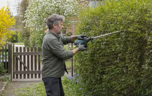 Person schneidet eine Gartenhecke mit einem motorisierten Gartengerät; Thema Heckenscheren, Schwerpunkt Systemvergleich; Ausgangslage.