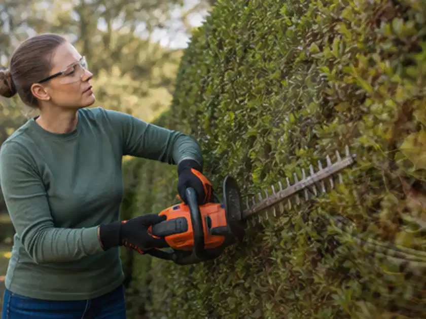 Person schneidet eine dichte Gartenhecke mit Schutzbrille und sicherem Stand; Thema Heckenscheren, Schwerpunkt Testkriterien; Titelbild.