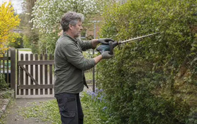 Person schneidet eine Gartenhecke mit einem motorisierten Gartengerät; Thema Heckenscheren, Schwerpunkt Testkriterien; Praxisalltag.