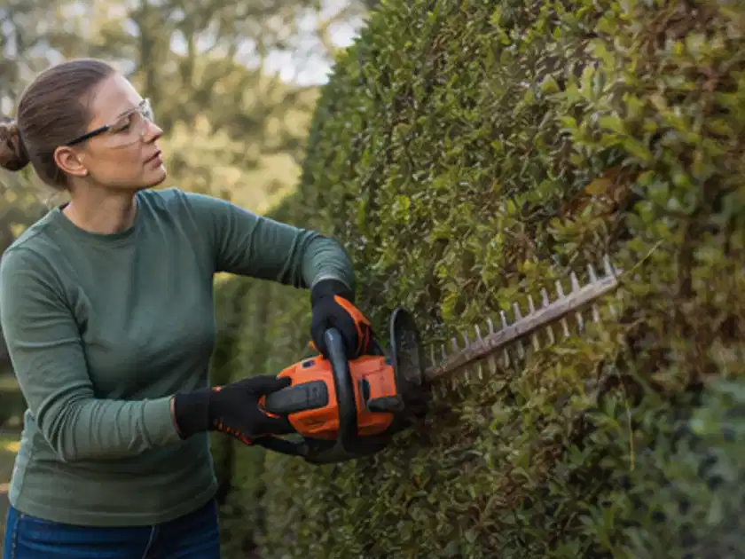 Person schneidet eine dichte Gartenhecke mit Schutzbrille und sicherem Stand; Thema Heckenscheren, Schwerpunkt Vergleich; Titelbild.