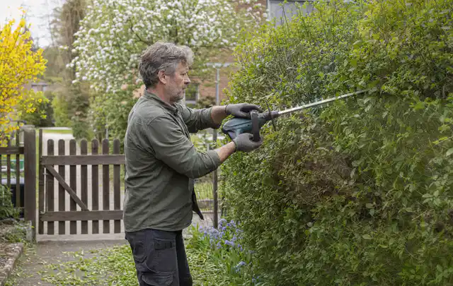 Person schneidet eine Gartenhecke mit einem motorisierten Gartengerät; Thema Heckenscheren, Schwerpunkt Vergleich; Umsetzung.