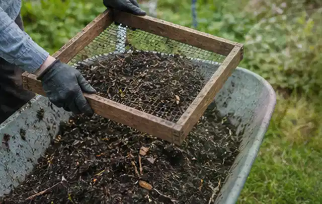Behandschuhte Hände sieben reifen Kompost über einer Gartenschubkarre; Thema Hochbeet aus Holz, Schwerpunkt Baurecht; Ergebnis.