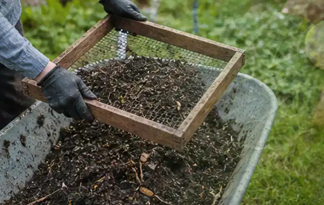 Behandschuhte Hände sieben reifen Kompost über einer Gartenschubkarre; Thema Hochbeet aus Holz, Schwerpunkt DIY; Ausgangslage.