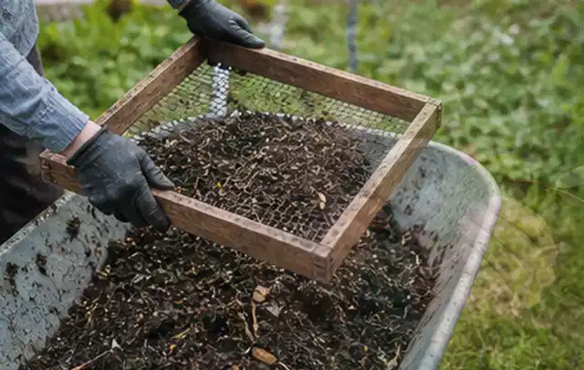 Behandschuhte Hände sieben reifen Kompost über einer Gartenschubkarre; Thema Hochbeet aus Holz, Schwerpunkt Fehlerhilfe; Kontrolle.