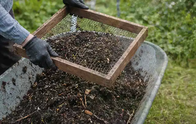 Behandschuhte Hände sieben reifen Kompost über einer Gartenschubkarre; Thema Hochbeet aus Holz, Schwerpunkt Gärten mit kleiner Fläche; Kontrolle.