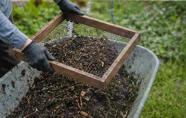 Behandschuhte Hände sieben reifen Kompost über einer Gartenschubkarre; Thema Hochbeet aus Holz, Schwerpunkt Gestaltung; Ergebnis.