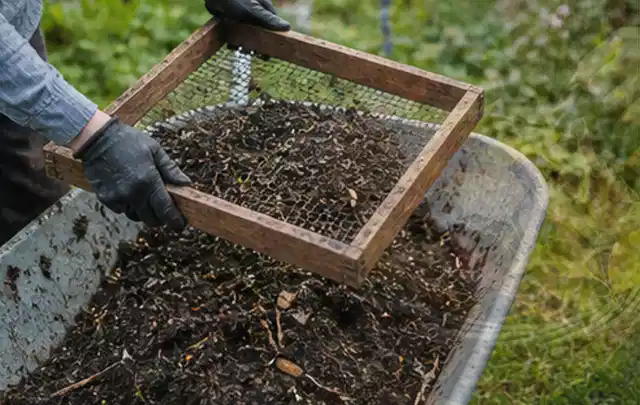 Behandschuhte Hände sieben reifen Kompost über einer Gartenschubkarre; Thema Hochbeet aus Holz, Schwerpunkt Kosten; Ergebnis.