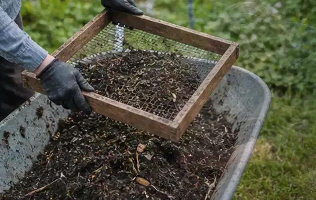 Behandschuhte Hände sieben reifen Kompost über einer Gartenschubkarre; Thema Hochbeet aus Holz, Schwerpunkt Planung; Ausgangslage.