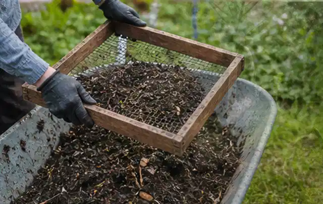 Behandschuhte Hände sieben reifen Kompost über einer Gartenschubkarre; Thema Hochbeet aus Holz, Schwerpunkt Winterschutz; Umsetzung.