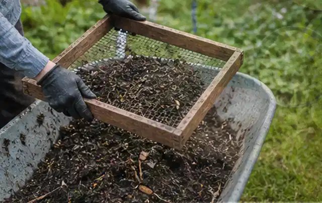 Behandschuhte Hände sieben reifen Kompost über einer Gartenschubkarre; Thema Hochbeet aus Metall, Schwerpunkt Baurecht; Ergebnis.