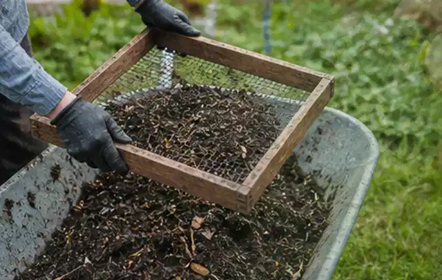Behandschuhte Hände sieben reifen Kompost über einer Gartenschubkarre; Thema Hochbeet aus Metall, Schwerpunkt Fundament; Kontrolle.