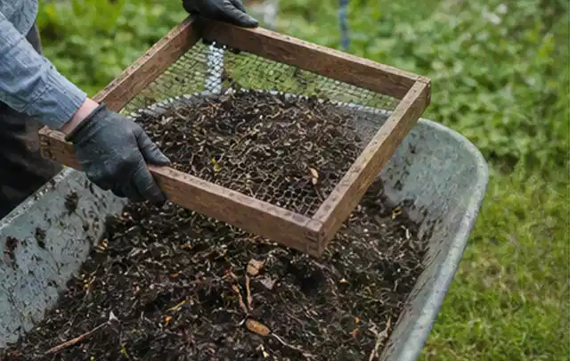 Behandschuhte Hände sieben reifen Kompost über einer Gartenschubkarre; Thema Hochbeet aus Metall, Schwerpunkt Gestaltung; Umsetzung.