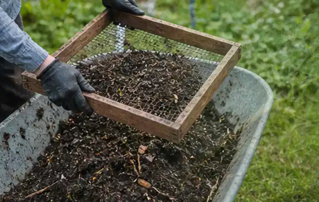 Behandschuhte Hände sieben reifen Kompost über einer Gartenschubkarre; Thema Hochbeet aus Metall, Schwerpunkt Pflege; Ausgangslage.