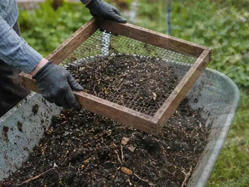 Behandschuhte Hände sieben reifen Kompost über einer Gartenschubkarre; Thema Hochbeet aus Metall, Schwerpunkt Planung; Titelbild.