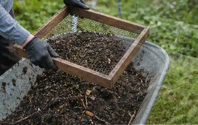 Behandschuhte Hände sieben reifen Kompost über einer Gartenschubkarre; Thema Hochbeet aus Metall, Schwerpunkt Standort; Umsetzung.